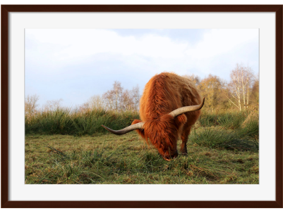 Yak Framed Art - Surya-he131a001-4030-eternal - 40 X 30 Yak Wall Art (575x575), Png Download