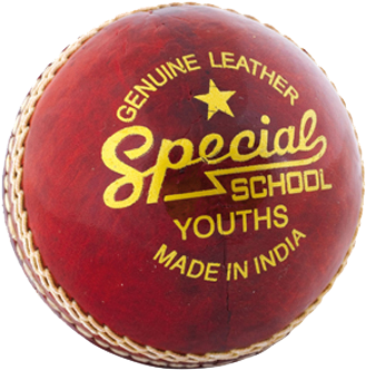 Readers Special School Cricket Ball - Readers.com Readers Special School Cricket Ball (500x500), Png Download