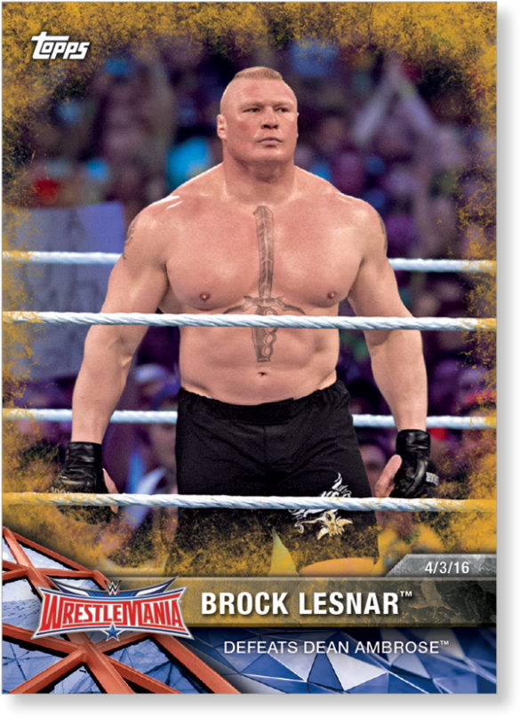 Brock Lesnar 2017 Wwe - Wwe Brock Lesnar 2017 Cards (1440x975), Png Download