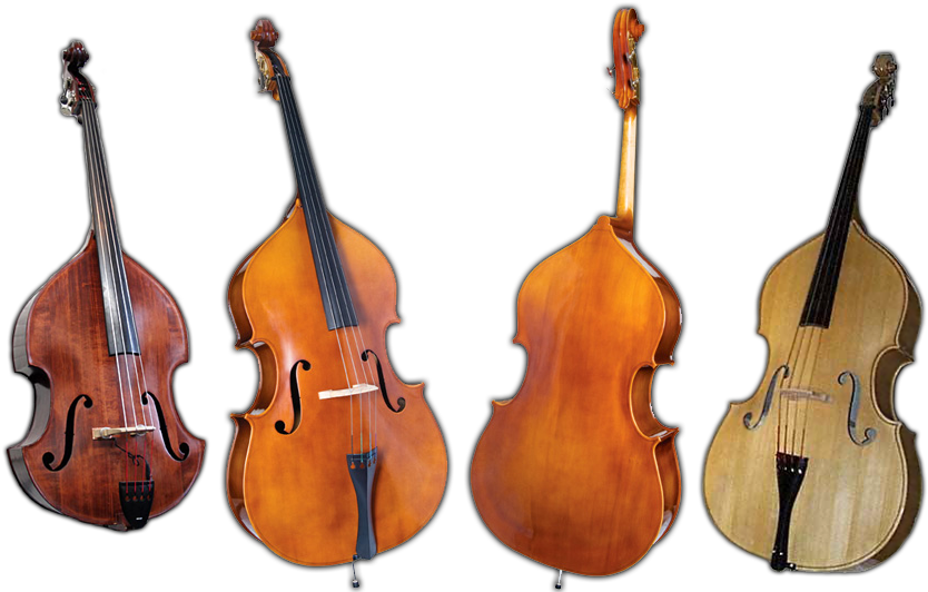 Featuring Upright Basses From David Gage, Wilfer, Juzek, - Double Bass (882x576), Png Download