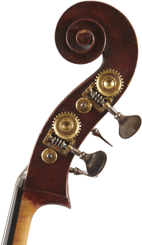 Fuber Double Bass Right Scroll - Double Bass (500x816), Png Download