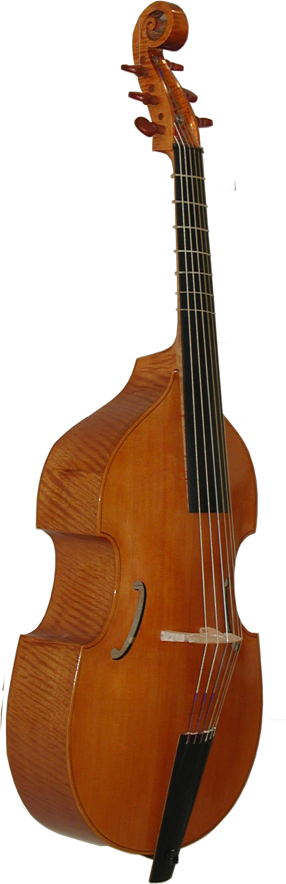 Norman Bass - Guitar (1536x2048), Png Download