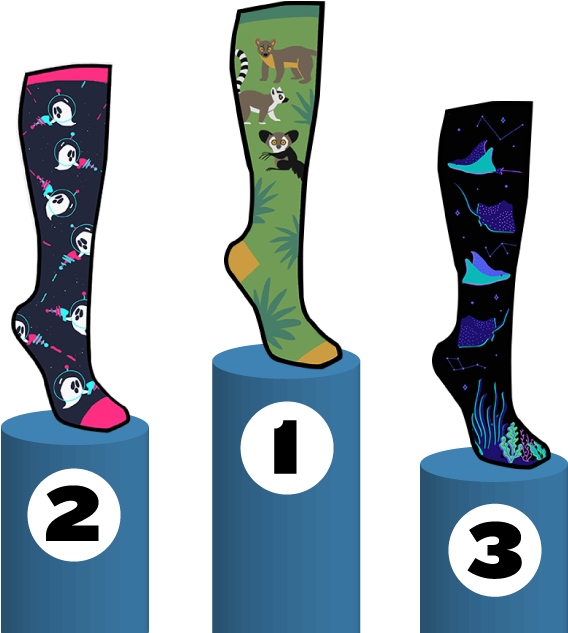 2018 Design A Sock Contest - Design (600x662), Png Download