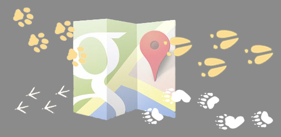 Address Down - Google Maps (550x268), Png Download
