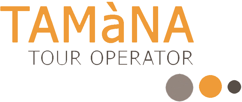 Suscribe To Our Newsletter - Tableau Desktop (865x370), Png Download