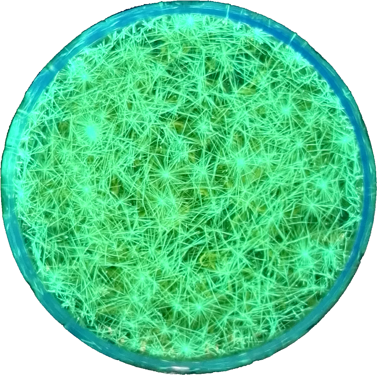 Yao Research Group Is Found On August 1st, (1288x1283), Png Download