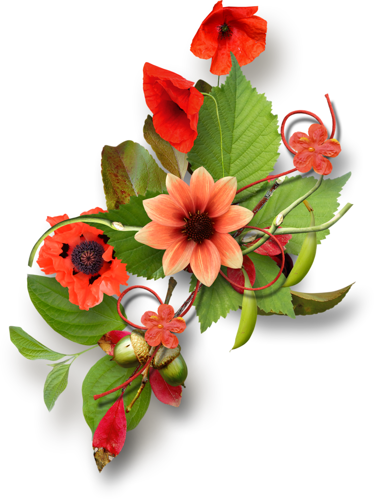 B *✿* - Clip Art (768x1024), Png Download
