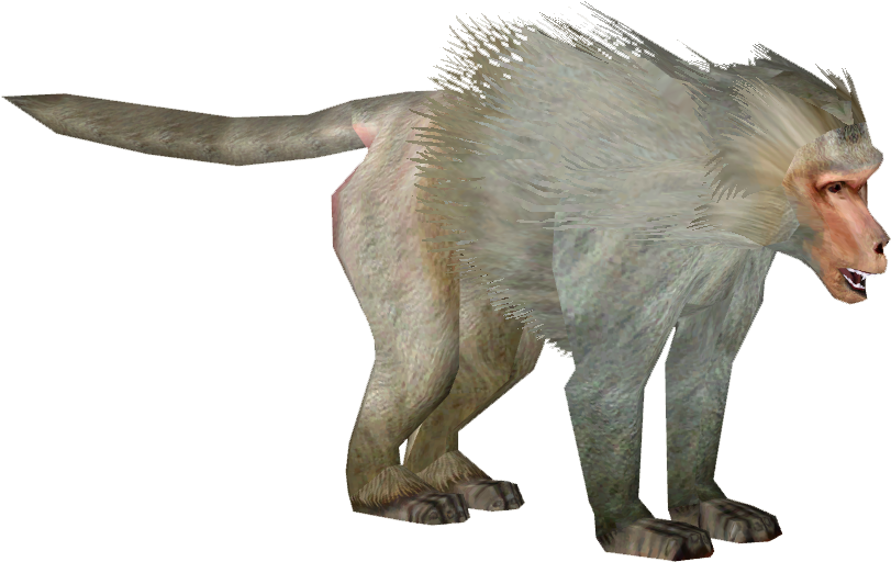 Hamadryas Baboon - Hamadryas Baboon Png (810x810), Png Download
