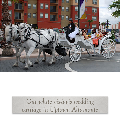 Prev Next - Horse And Buggy (500x500), Png Download