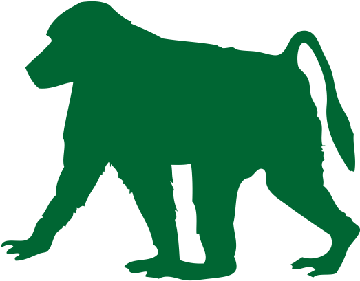 Baboon Transparent Image - Homalocephale (578x578), Png Download