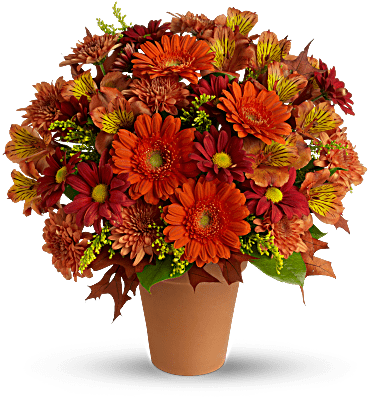 Golden Glow Flower Arrangement - Golden Glow Teleflora (368x460), Png Download