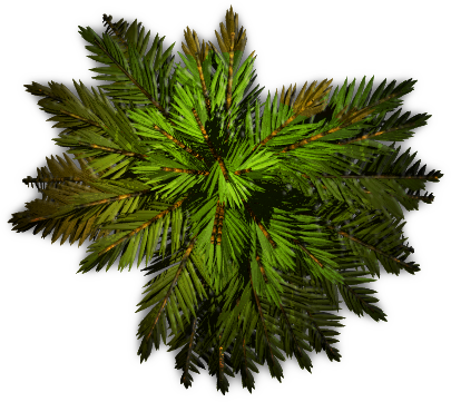 Dundjinni Mapping Software - Aprilia Rx/sx 50 (405x361), Png Download