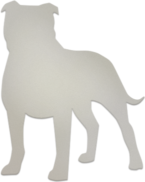 Staffordshire Bull Terrier (400x400), Png Download