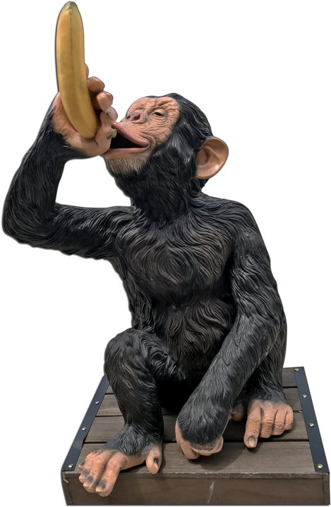Safari Monkey - Safari (620x827), Png Download