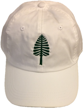 Lone Pine Hat - Patagonia Women's Micro D 1/4 Zip (374x479), Png Download