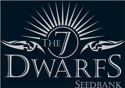 The 7 Dwarfs - War And Cherry Blossoms: Secret Mission In Japan [book] (500x500), Png Download
