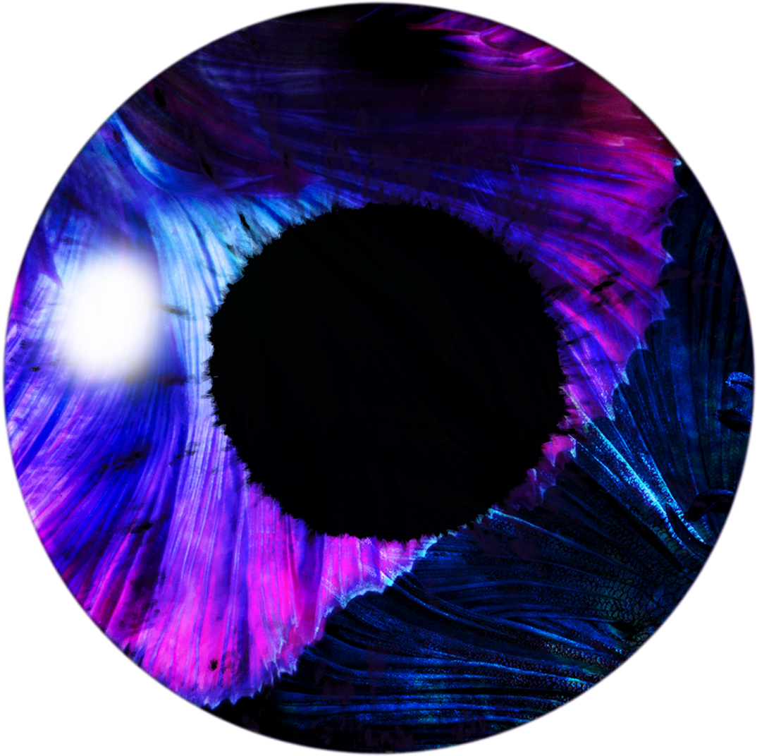 Mreditor Ps 91 - Picsart Photo Studio (1600x1200), Png Download