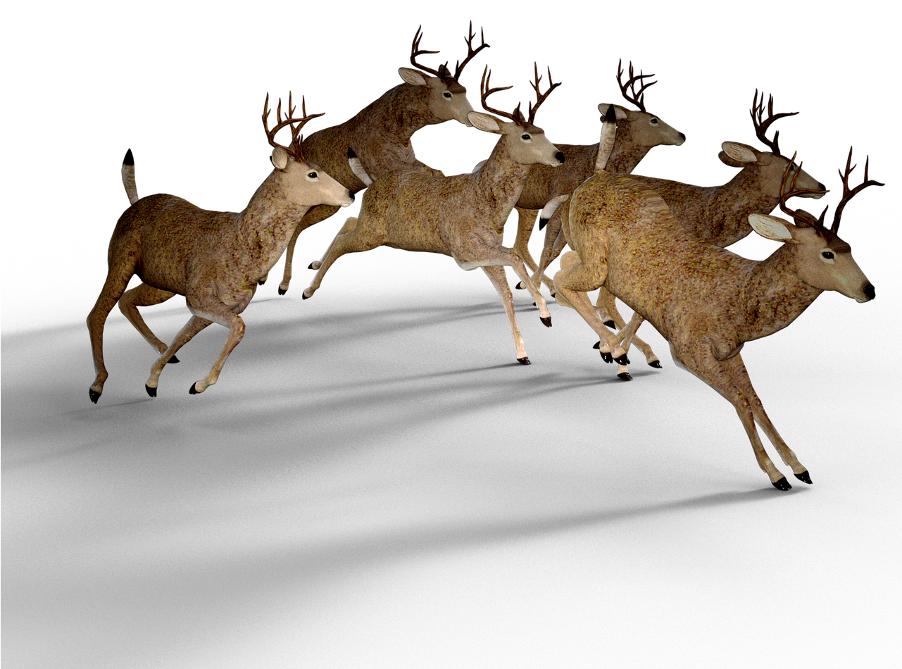 Forest, Deer Pack Damm Wild Antler Fight Forest Br - Zazzle Lustige Dollars In Einer Linie Jagd T-shirt (1280x1280), Png Download