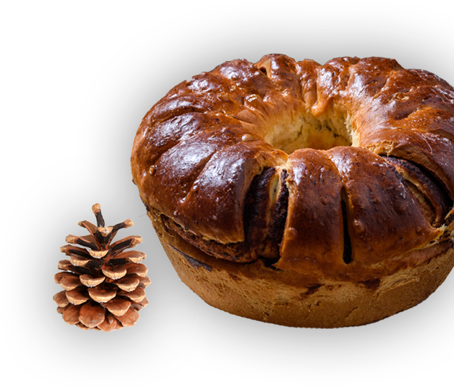 Tipo Servico - Conifer Cone (647x551), Png Download