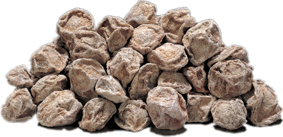 Zoom - Dry Plum (573x278), Png Download