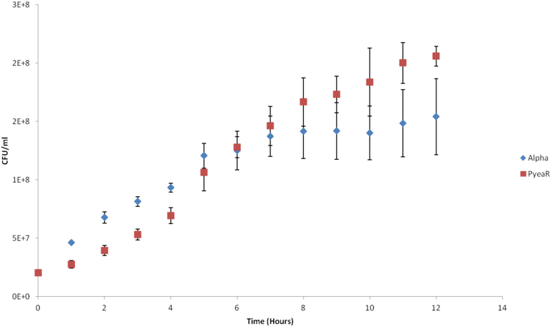 Growth Of Pyear Transformed E - Diagram (800x481), Png Download