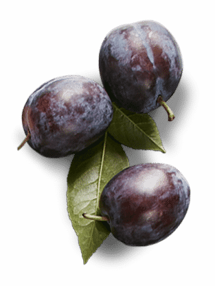 Saba Is A Secret Ingredient Of Chefs And Foodies Alike - Saison (313x415), Png Download