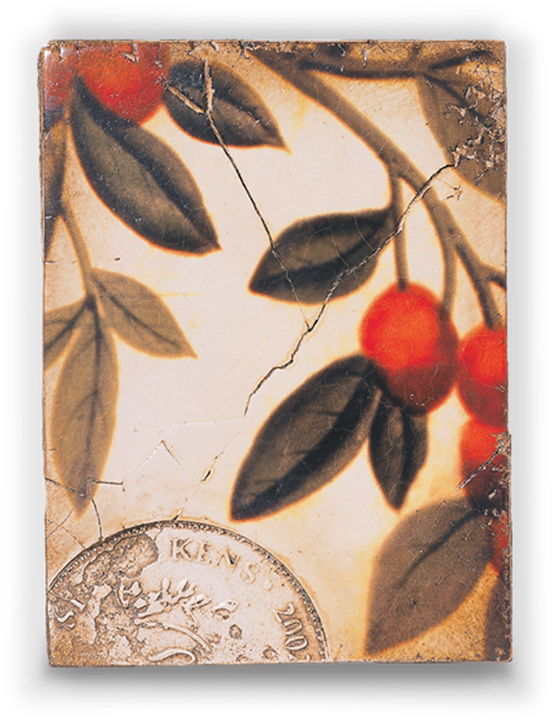 Seduction Of Colour Collection (552x720), Png Download