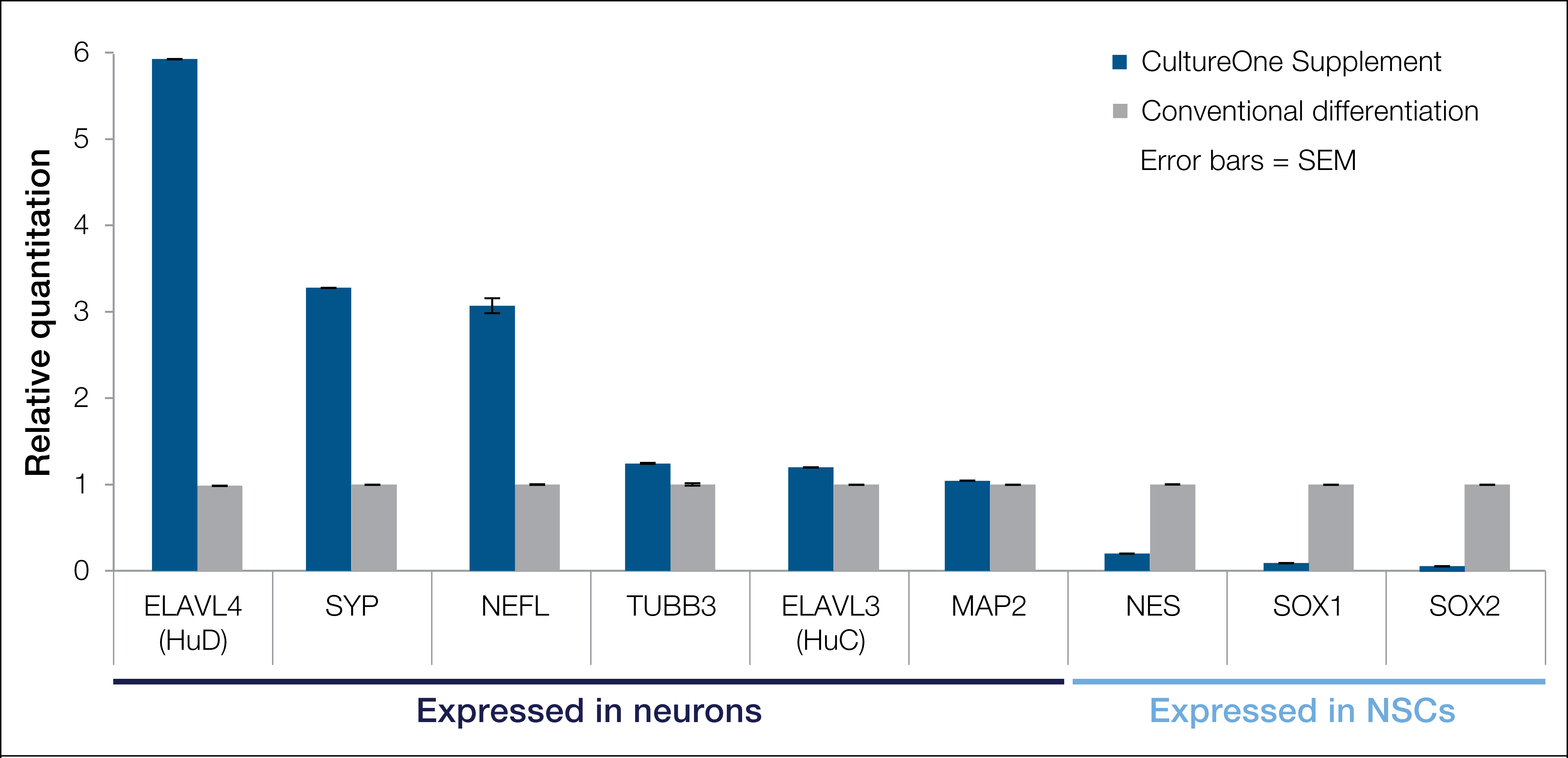 Mrna Expression At 2 Weeks By Qpcr - 2016 中国 牛肉 消费 量 (5540x2680), Png Download