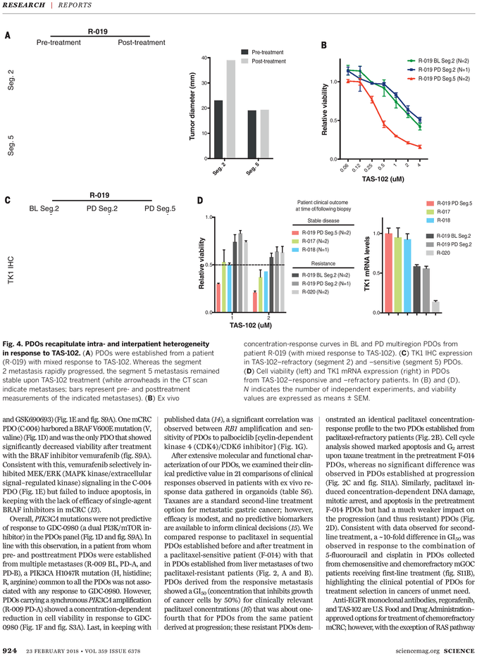 Folio Four From Burchard Of Sion's De Locis Ac Mirabilibus (765x974), Png Download