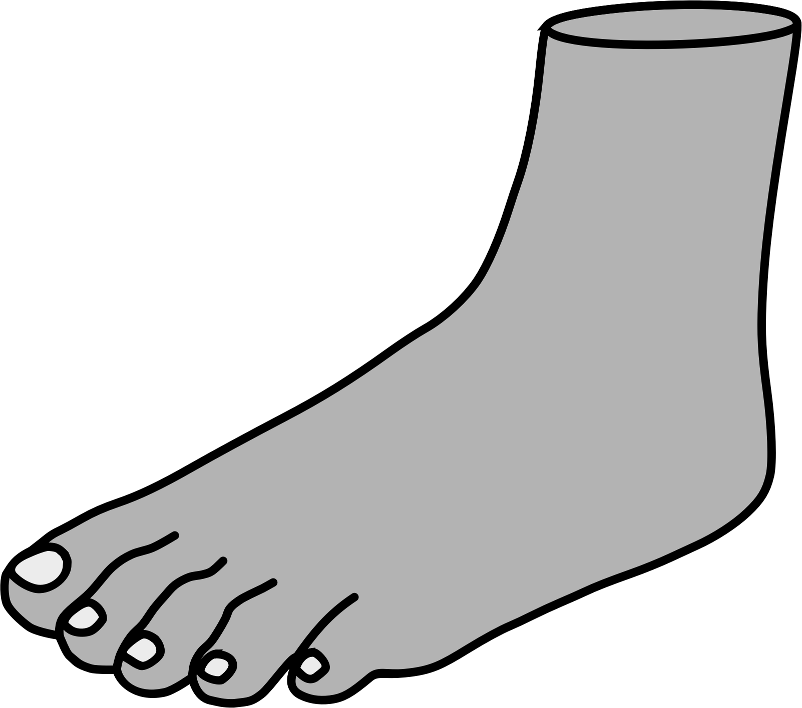 Single Clipart Human Outline - Foot Clipart (1602x1416), Png Download