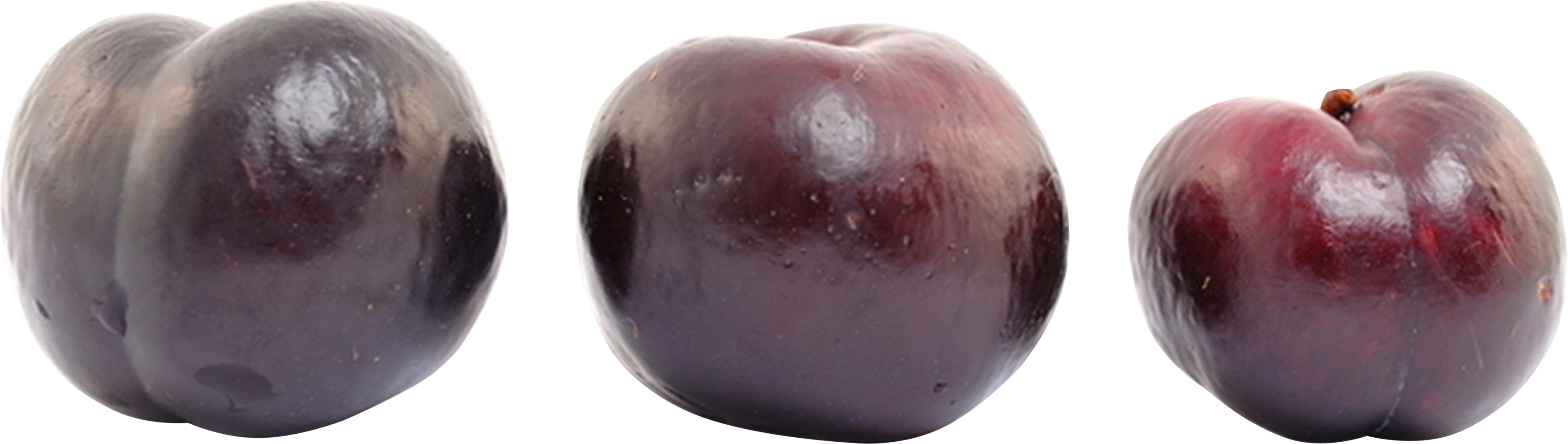 Plum Png Image - Portable Network Graphics (3500x991), Png Download