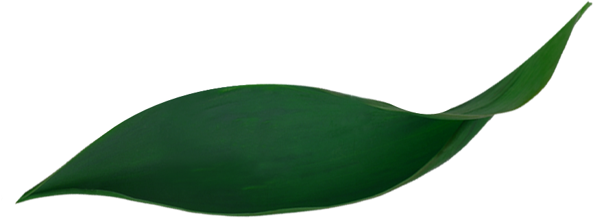 Safe Care - Aromatherapy (864x530), Png Download