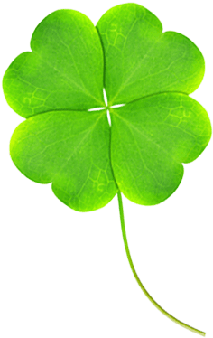 You're As Lucky As A Four-leaf Clover - Shamrock (374x374), Png Download