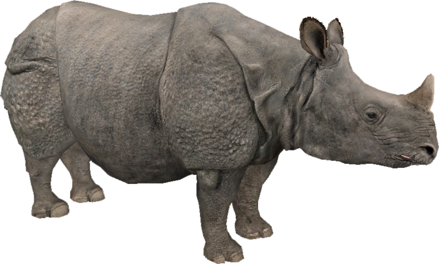 Ny2pepe - Rhino Body (872x525), Png Download