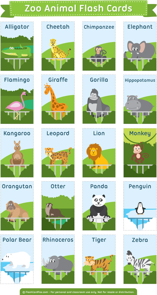 Description - Flash Card Zoo Animal (600x989), Png Download