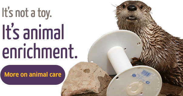 It's Animal Enrichment - Franklin Park Zoo (640x350), Png Download