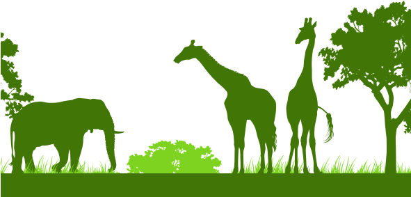 Land Land - Clip Art (590x422), Png Download