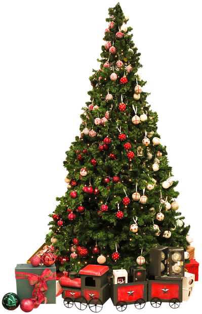 Next - Albero Di Natale Png (556x720), Png Download