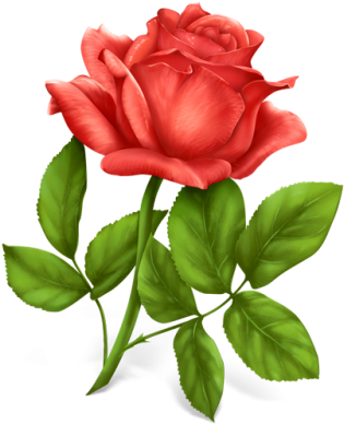 Single Rose Free Download Transparent Png Images - Red Rose Icon (400x400), Png Download