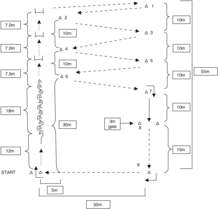 The Player Dribbles The Ball In A Forward Run Through - Running (850x666), Png Download