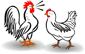 Cochin Chicken Leghorn Chicken Plymouth Rock Chicken - Chicken Rooster Clip Art (481x340), Png Download