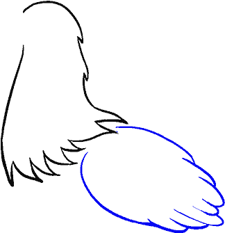 How To Draw Chicken - Sketch (678x600), Png Download