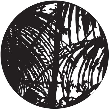 Large Jungle Gobo - Jungle Gobo (400x400), Png Download