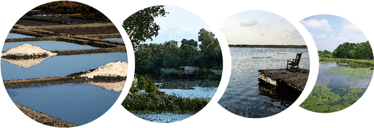 The 5th International Symposium On Wetland Pollutant - Reflection (757x267), Png Download