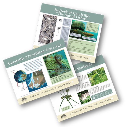 More Recently The Wetland Park Has Undergone Further - Brochure (550x545), Png Download
