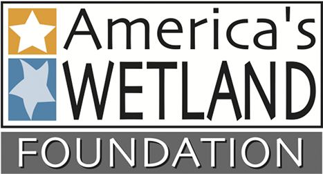 Americas Wetland Foundation Logo Thumb - Wetland Conservation (510x291), Png Download