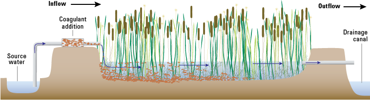 Detailed Description - Wetland Cell (758x206), Png Download
