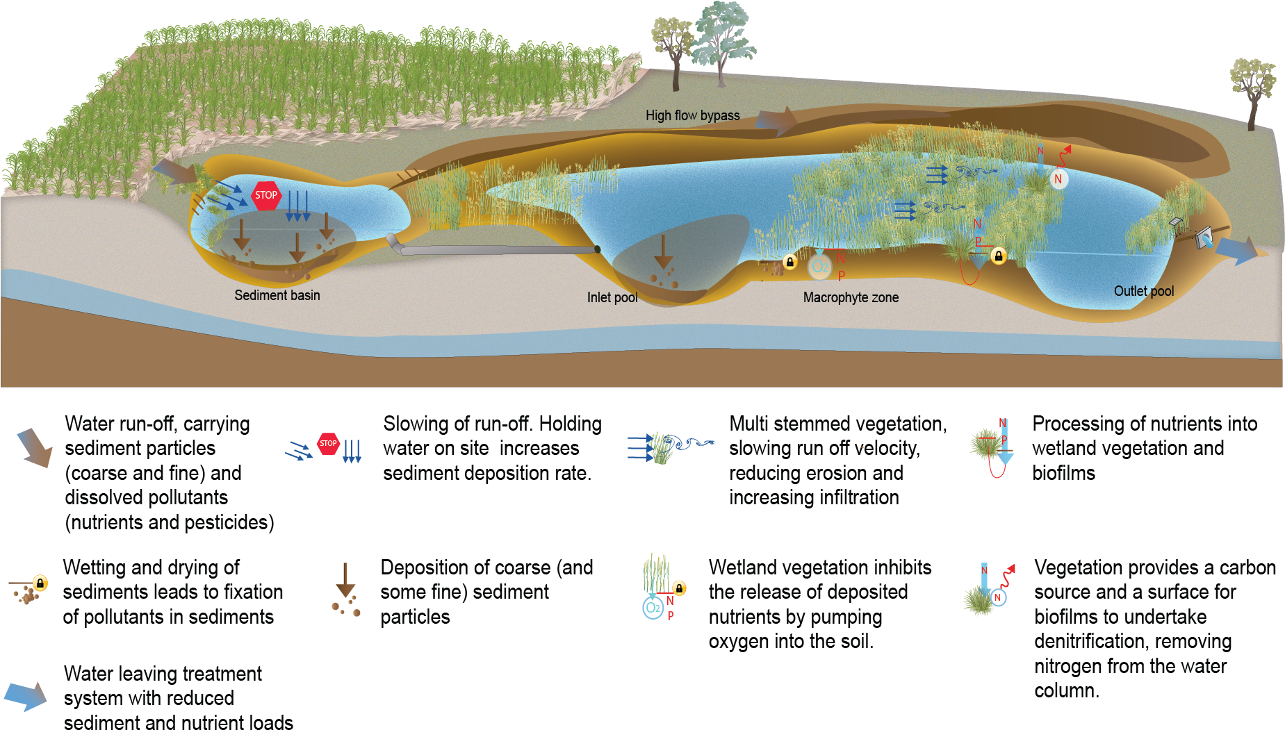Treatment Wetlands - Science (1998x1060), Png Download