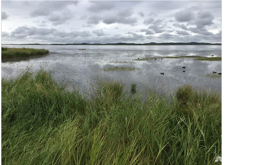 Wetland On Tibetan Plateau Threatened By Global Warming (991x557), Png Download