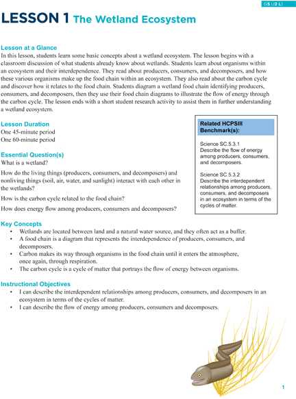 The Wetland Ecosystem (440x582), Png Download